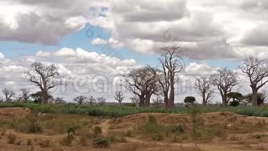 包巴，去肯尼亚茨沃公园的路上的风景，